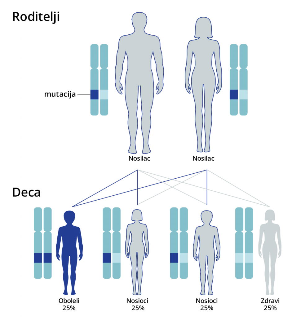 autozomno_recesivno_nasledjivanje